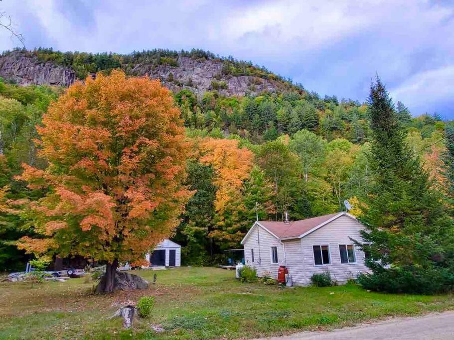 Villa Chalet Falaise By Chalets Nabu Saint-Alexis-des-Monts Exterior foto